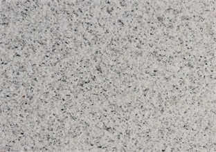 1-250113151S9292.jpg